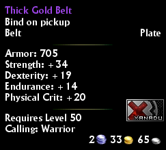 Thick Gold Belt