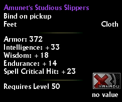 Amunet's Studious Slippers